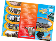 Cheshire Show Membership leaflet Front Cover